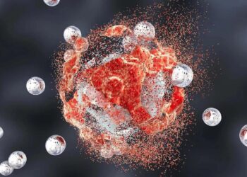 از وعده‌های غذایی تا سرطان؛ رابطه‌ای که باید بدانید