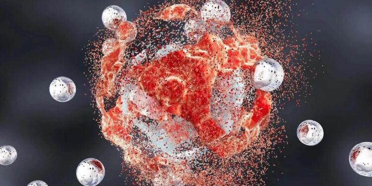 از وعده‌های غذایی تا سرطان؛ رابطه‌ای که باید بدانید